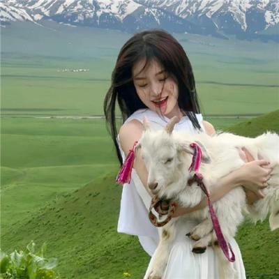 完美世界剧场版